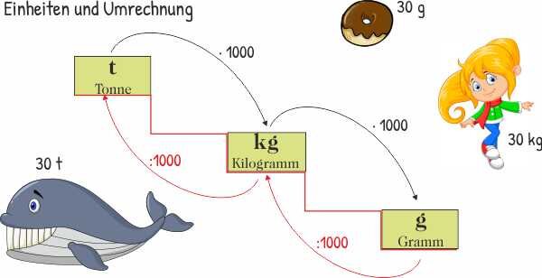 Gewicht - Einheiten und Umrechnung Mathe Grundschule